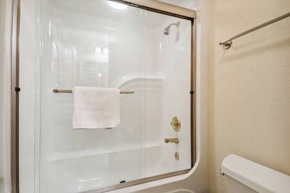 Lower Level Bath