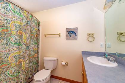 mid level master bath