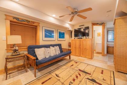 Lower Level Living Area