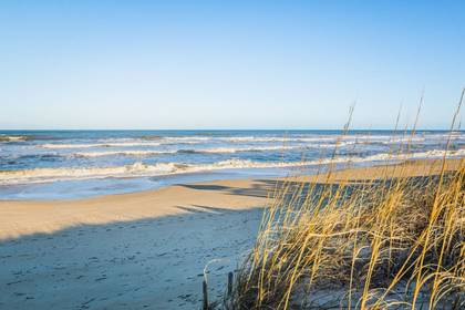 Oceanfront!