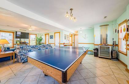 Ping Pong / Pool Table