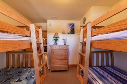Lower Level Bedroom