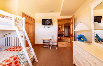 Lower Level Bedroom