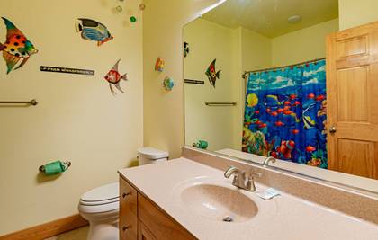Lower Level Hall Bath