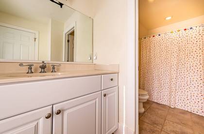 Lower Level Bath