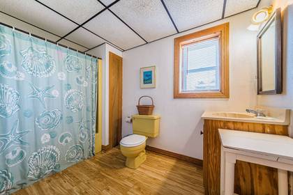 Lower Level Bath