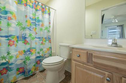 Lower Level Master Bath