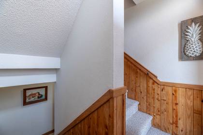 Mid Level Entry