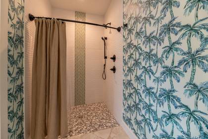 Lower Level Master with Roll-in Shower