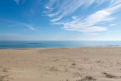The Beach!