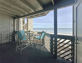 Dolphin Watching! Dolphin Watching!